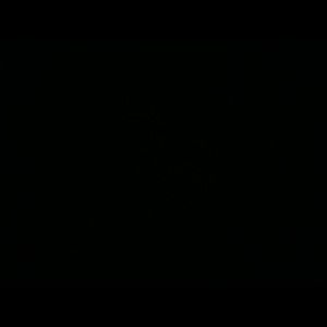 Meet your Posher, Wilson